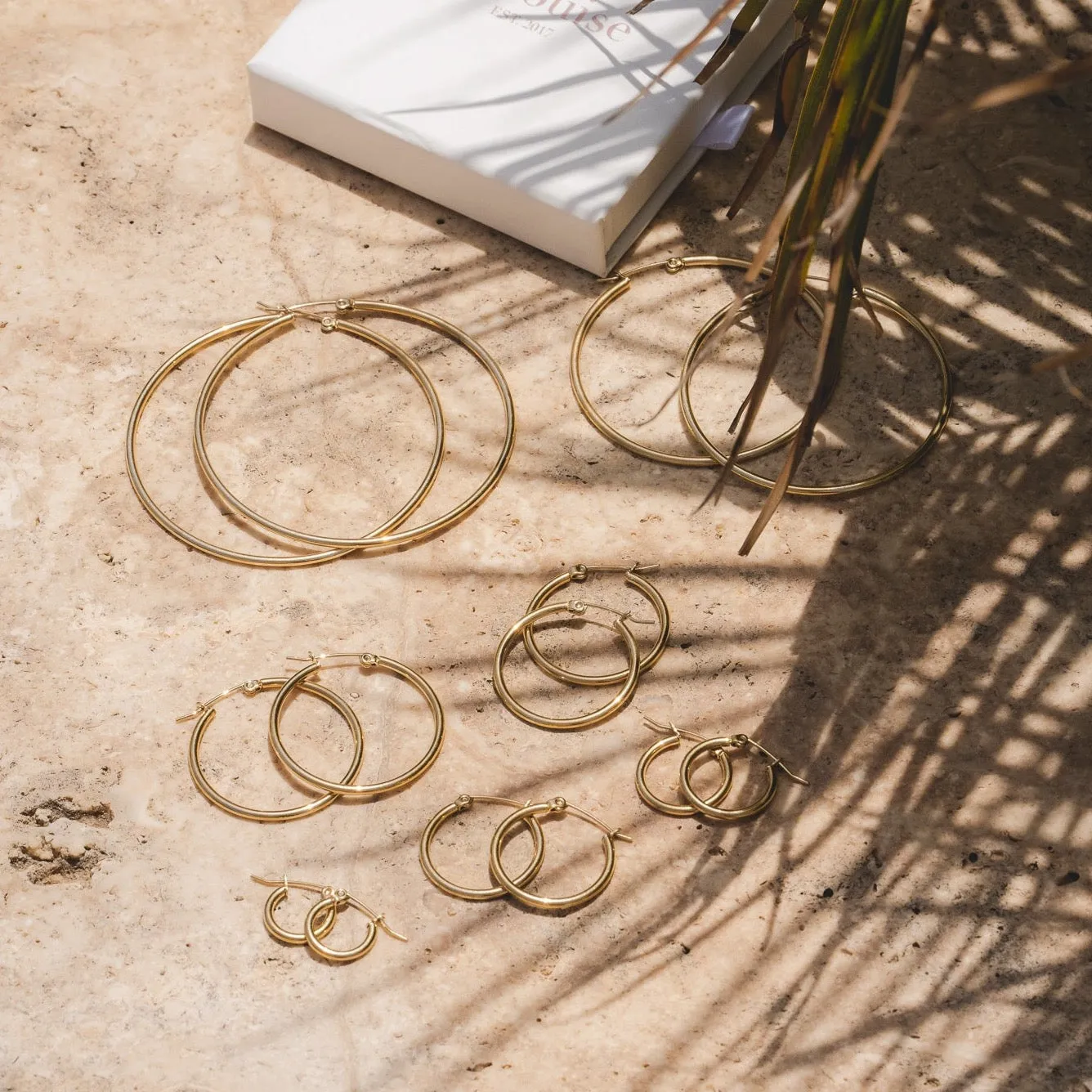 Classic Hoop Earrings
