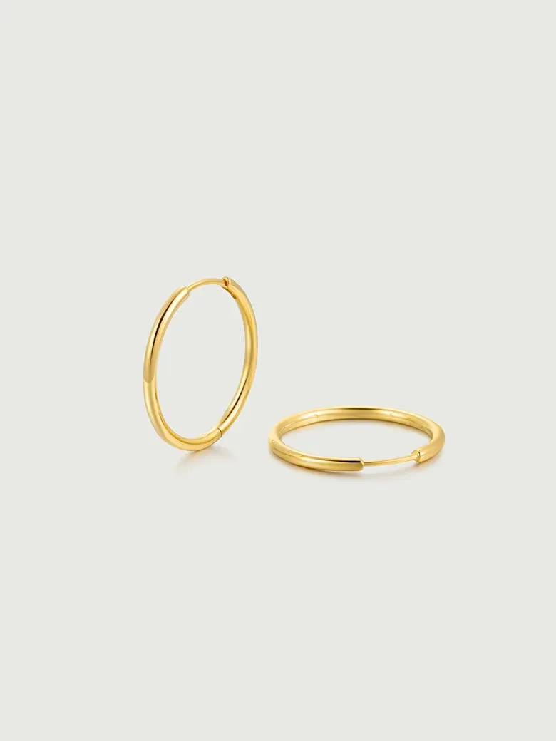 Large Hoop Earrings