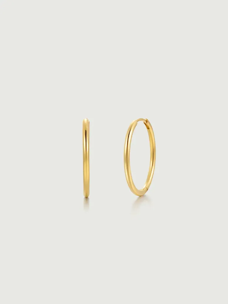 Large Hoop Earrings