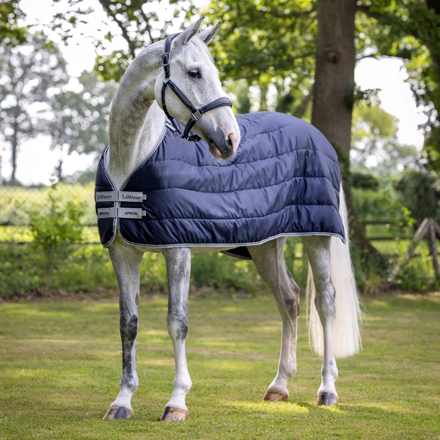 LeMieux Arika Rug Liner 100g, Navy