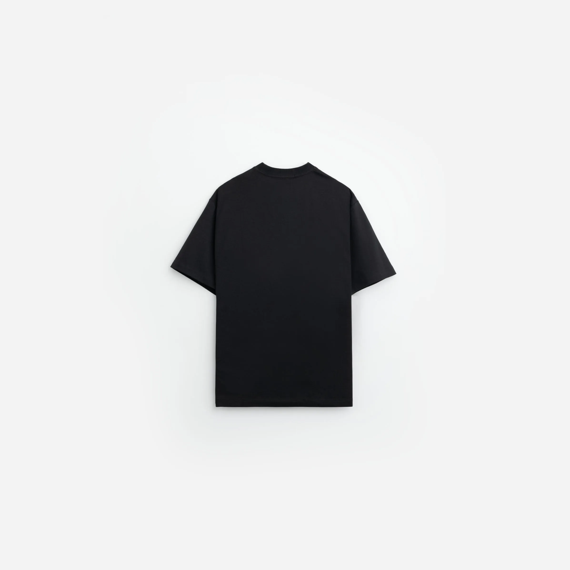 Photographic Palm Relaxed Tee